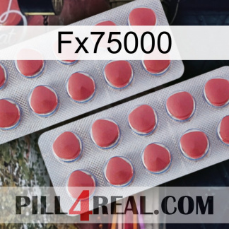 Fx75000 19